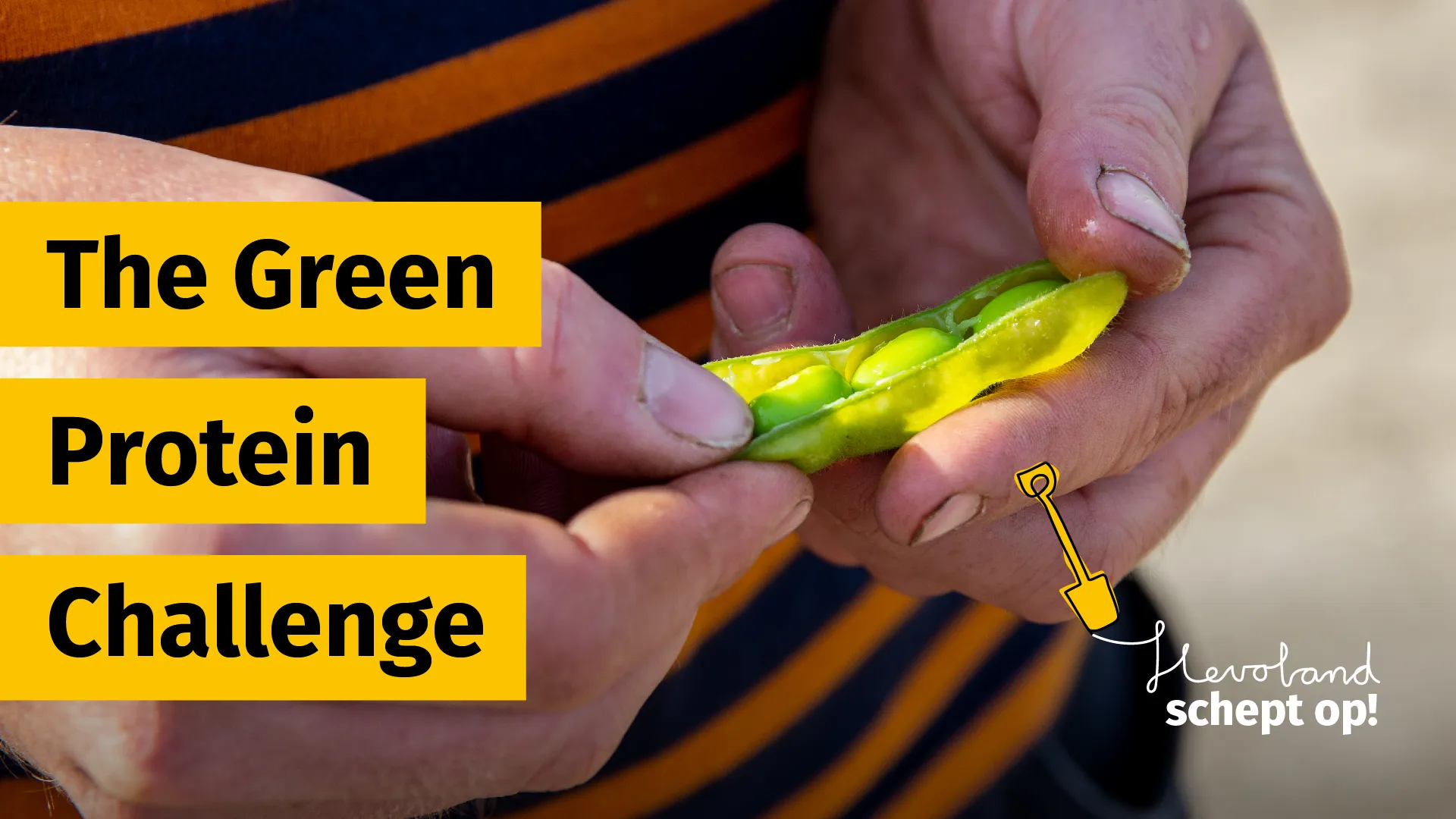 the green proteine challenge