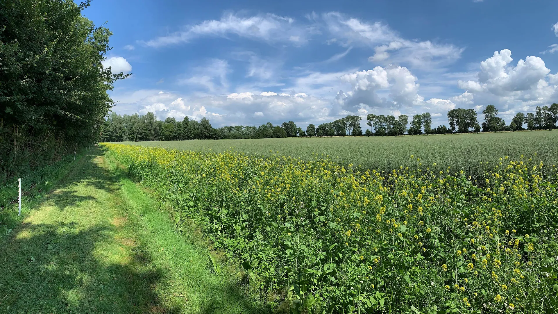 transitie landelijk gebied
