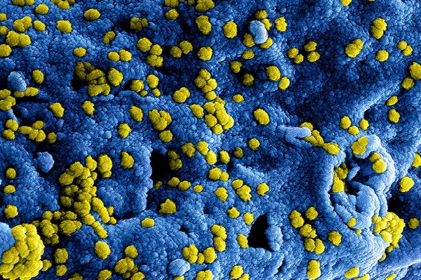 vaccineren zonder afspraak