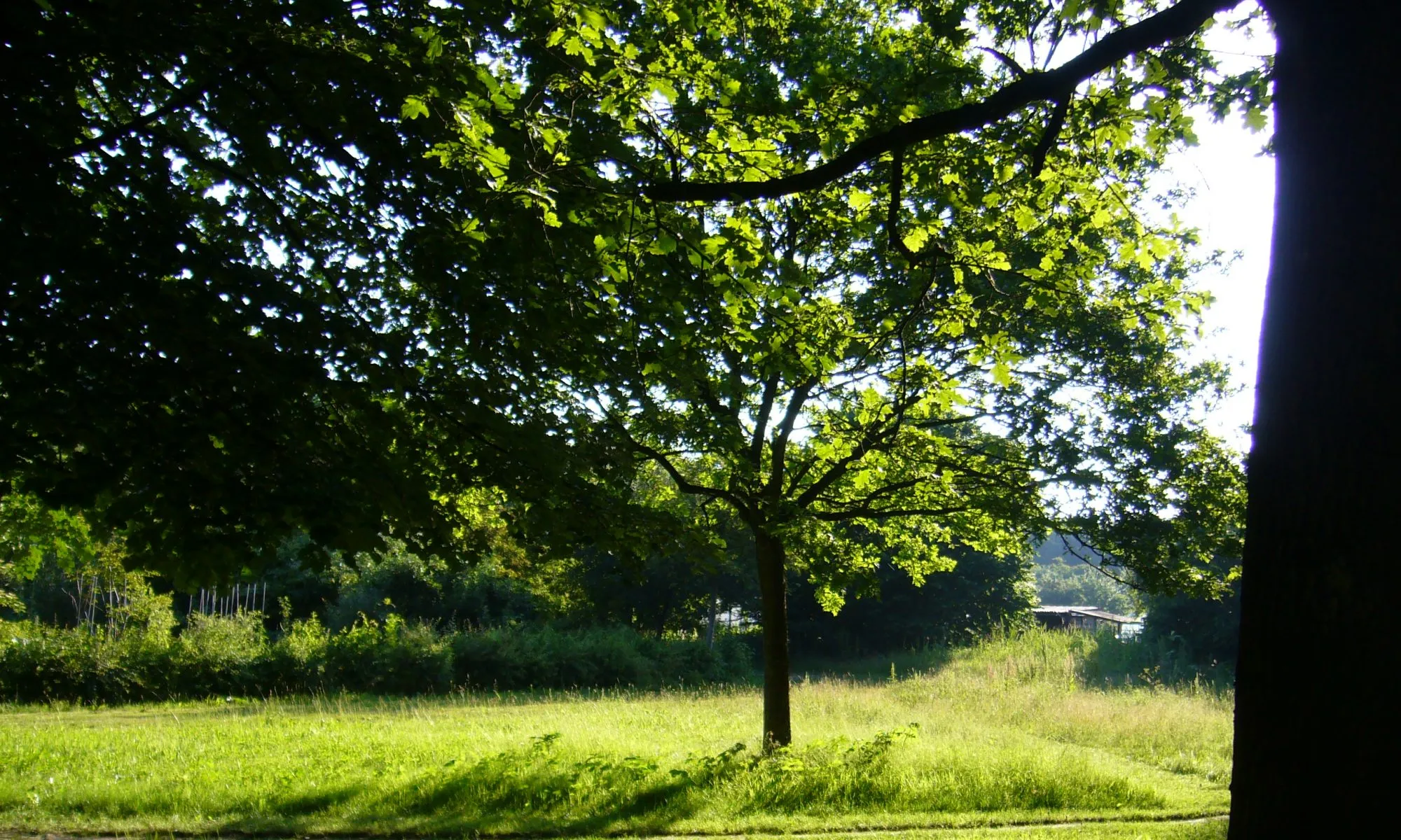 vereniging milieuvriendelijk tuinieren lelystad