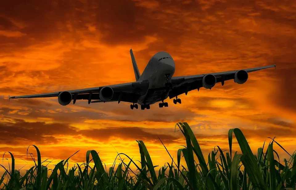 vliegend op vakantie