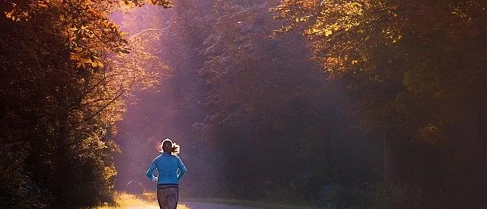 wandel en hardlooproutes