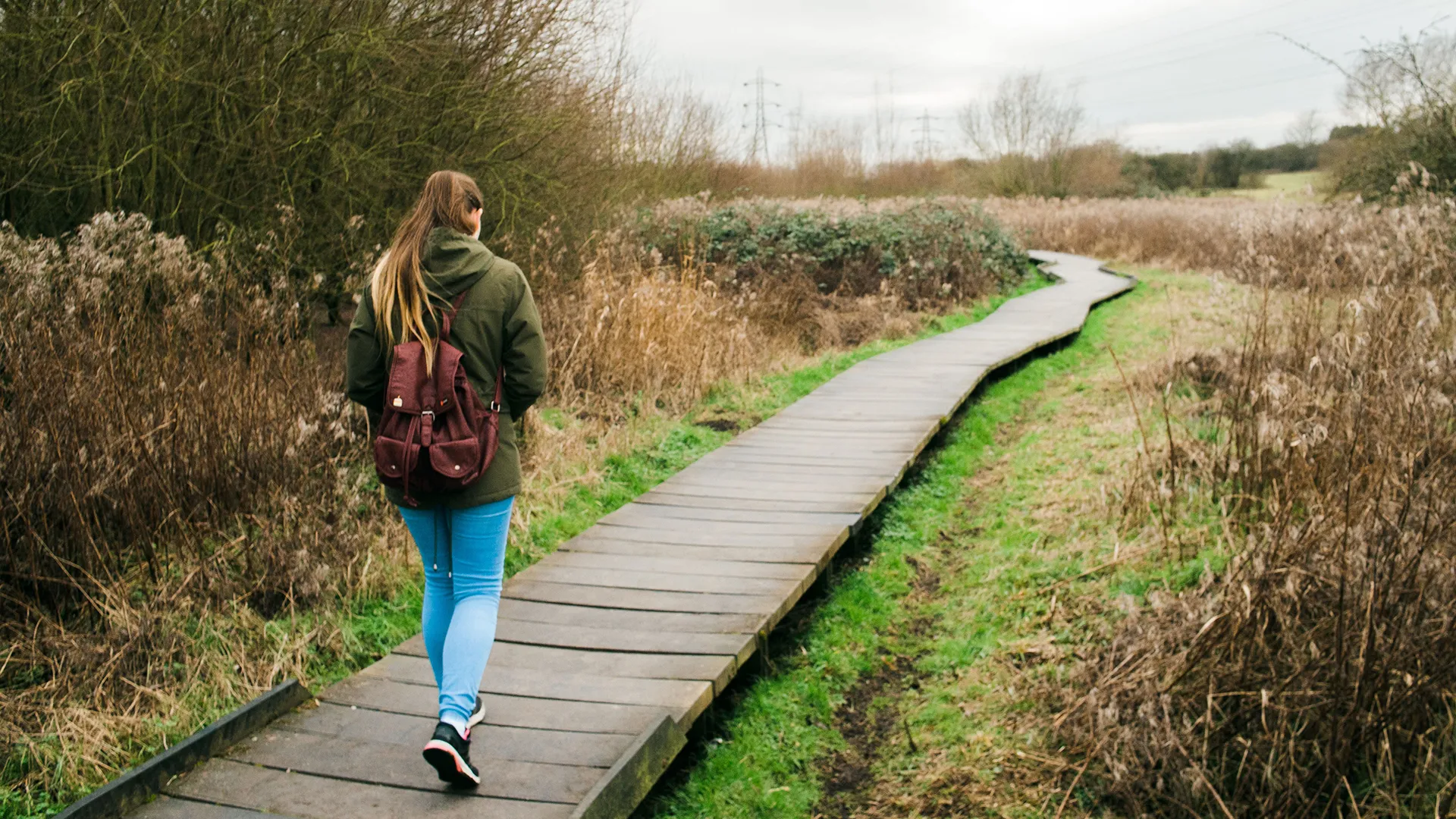 wandelen oostvaardersplassen prov flevoland