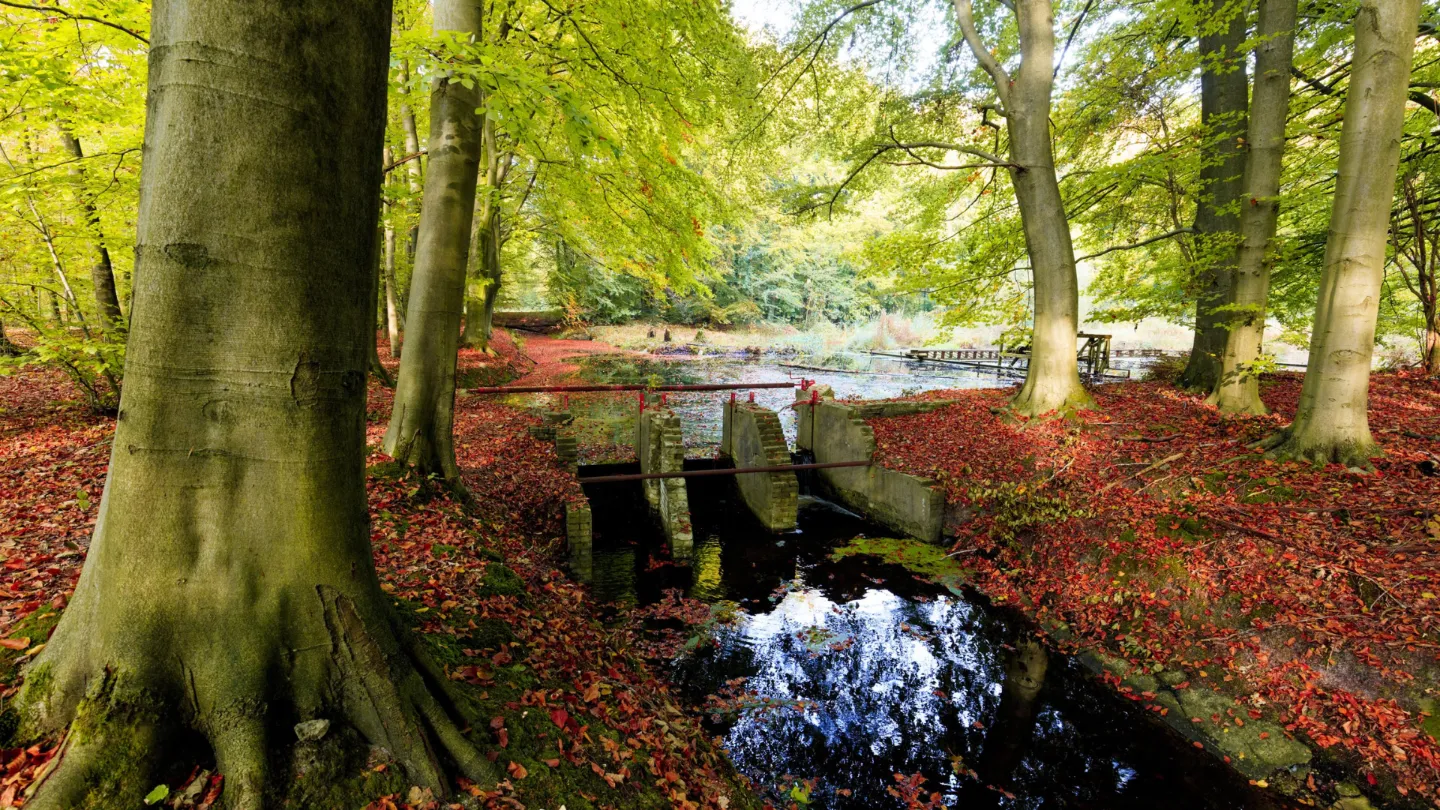 waterloopbos 1 provincie flevoland