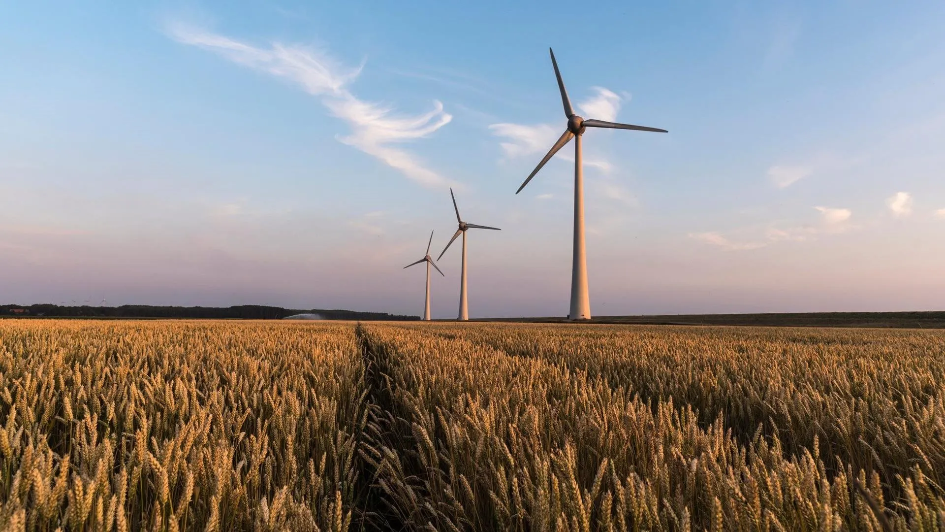 windmolens zonsondergang
