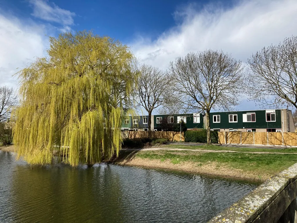 woningen aan het water