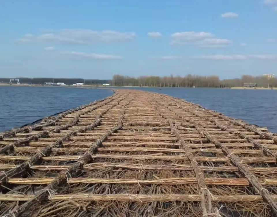 aanleg rietoever wiepen knopen 1 het flevo landschap