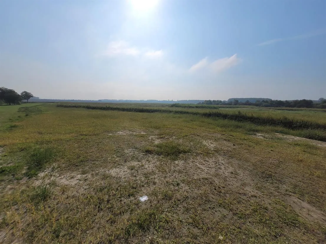 de elzen werkzaamheden gem lelystad