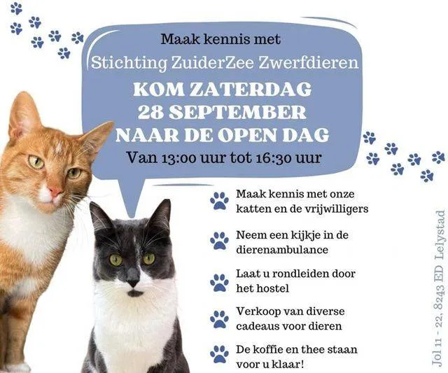 open dag zuiderzee zwerfdieren stichting zuiderzee zwerfdieren