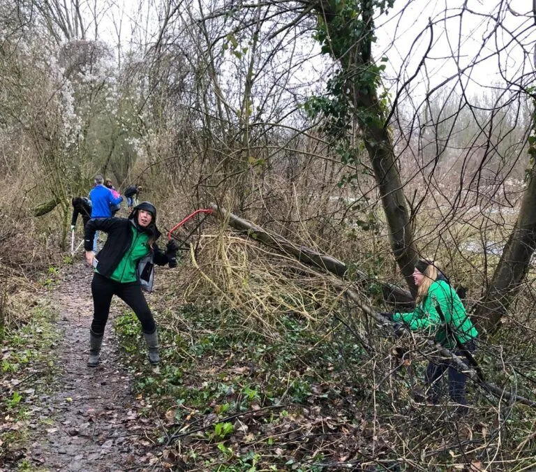snoeien paarden platform lelystad