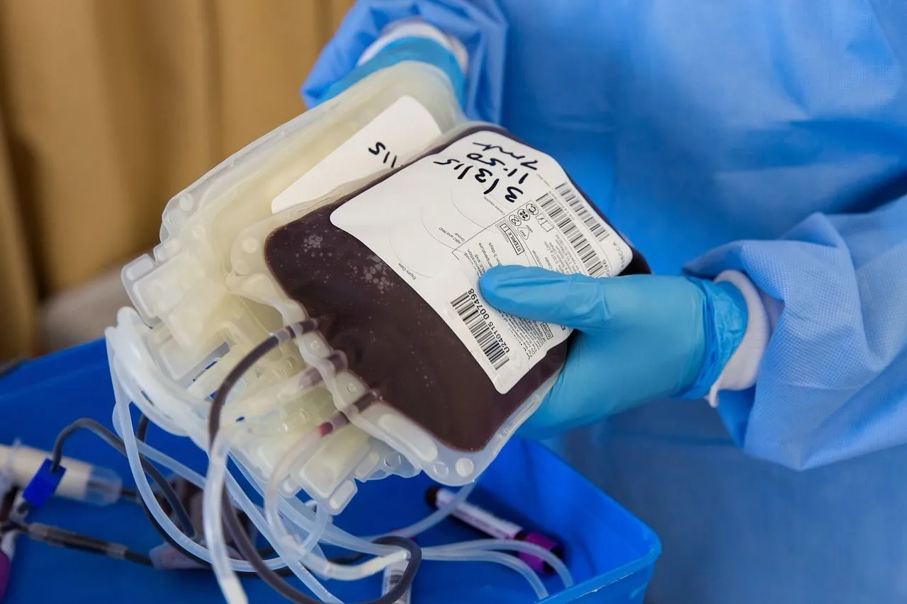 bloed donor ahmad ardity via pixabay