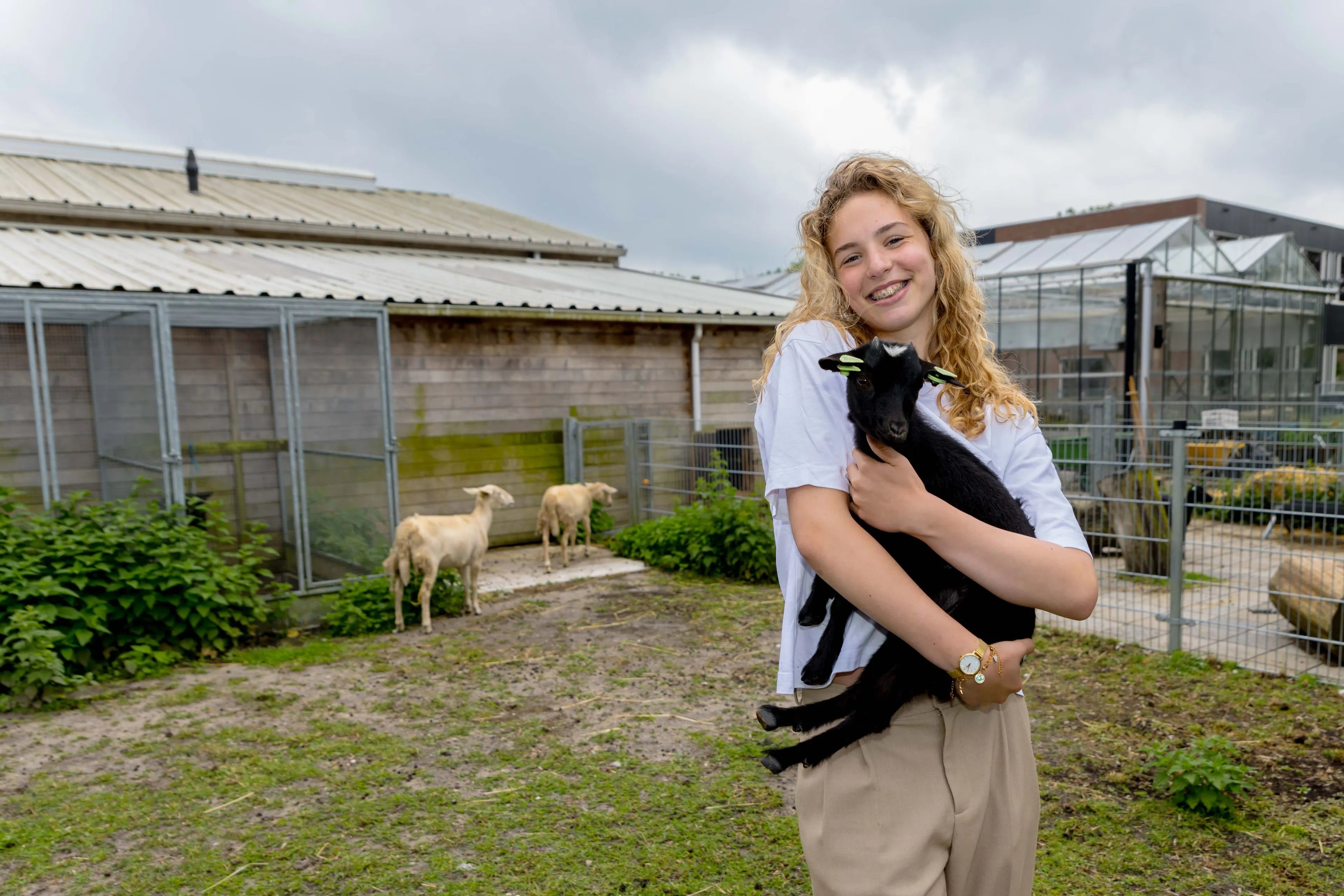 aeres vmbo lelystad aeres vmbo lelystad