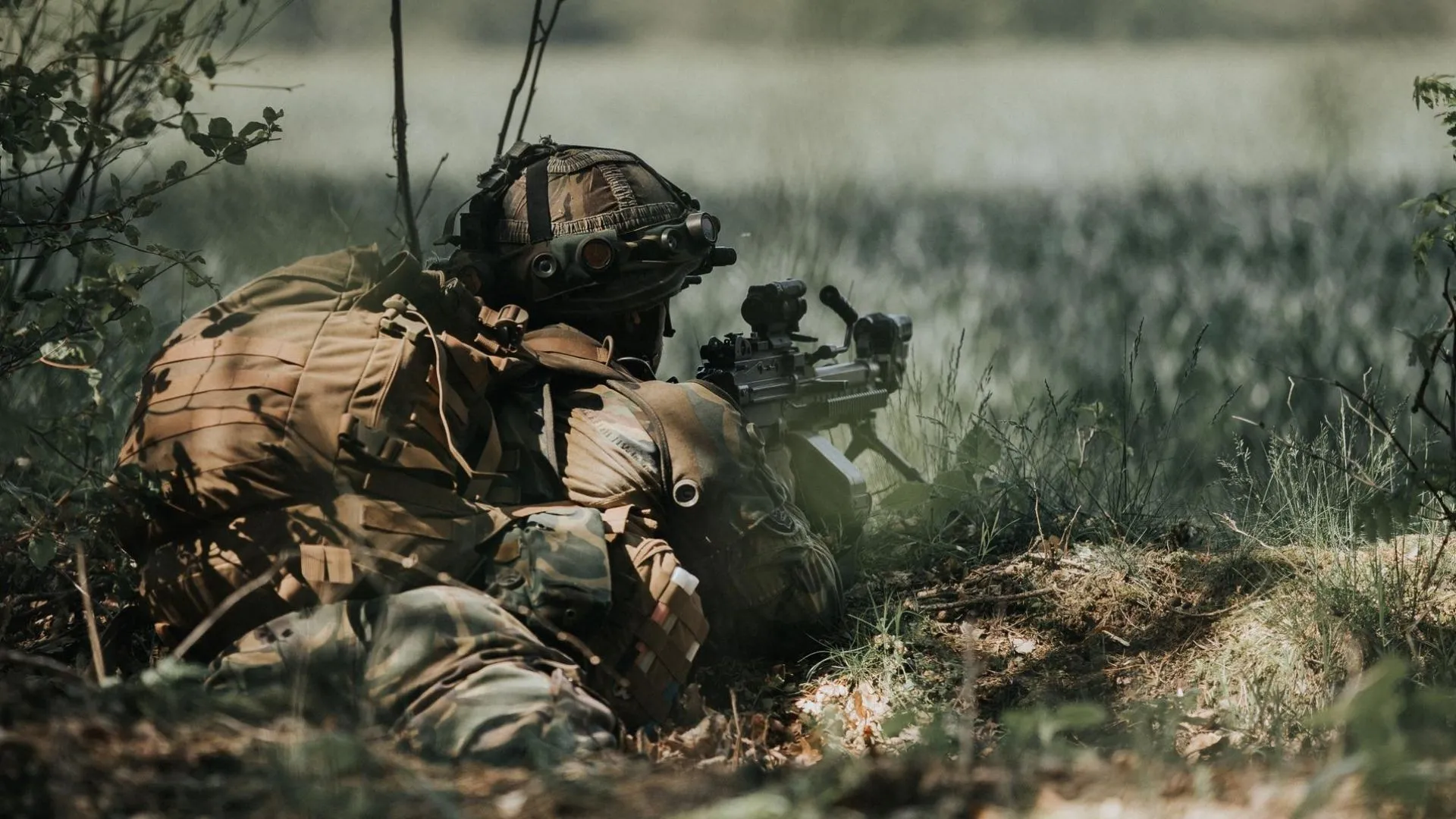 defensie ministerie van defensie prov flevoland