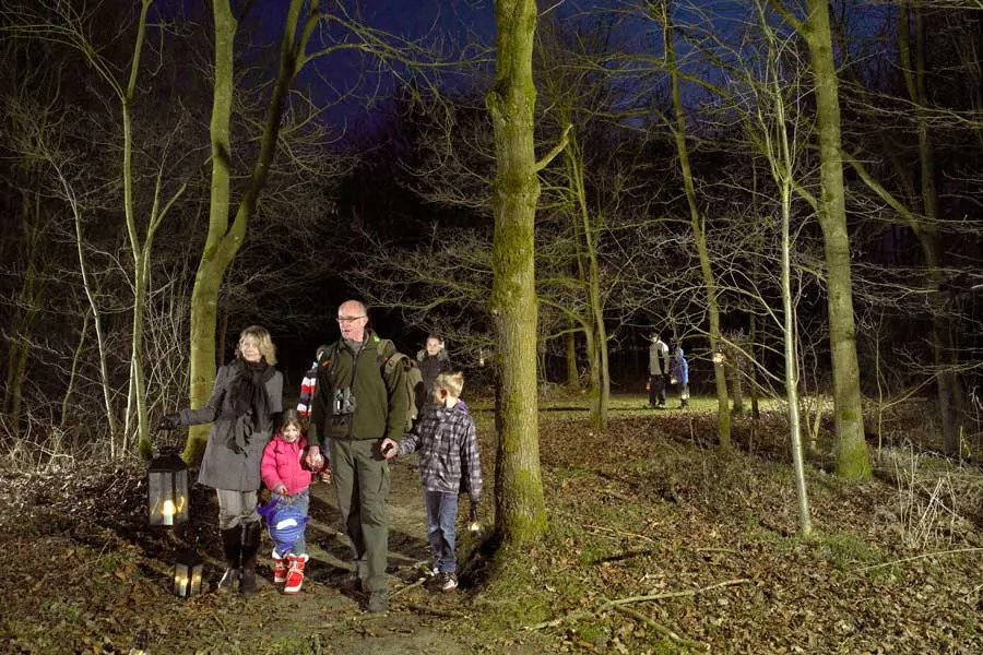 lichtjeswandeling publiek boswachter staatsbosbeheer