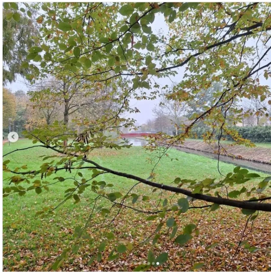 park lelystad 1 gem lelystad