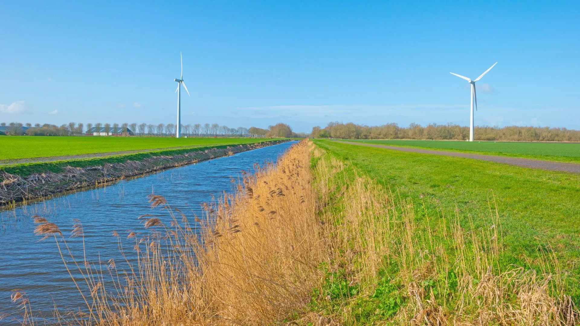 polder water met riet en windmolens prov flevoland