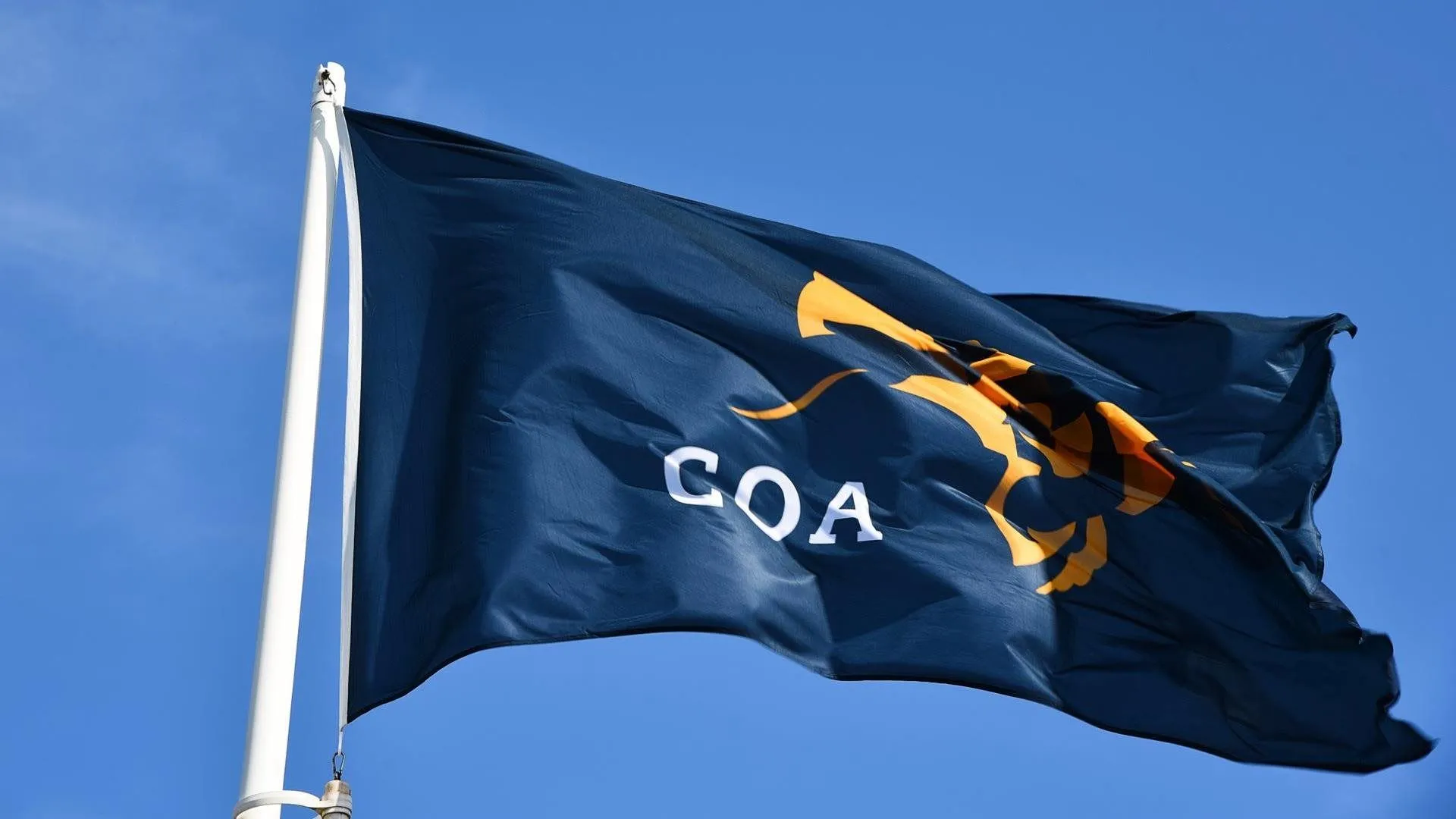 vlag coa prov flevoland