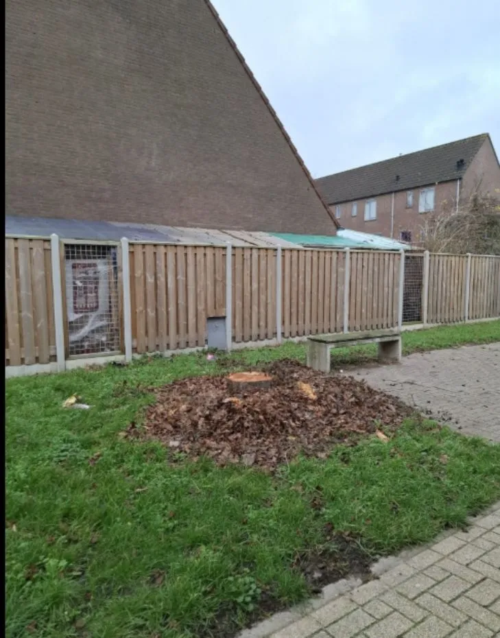 bomenkap waterwijk 1 knag