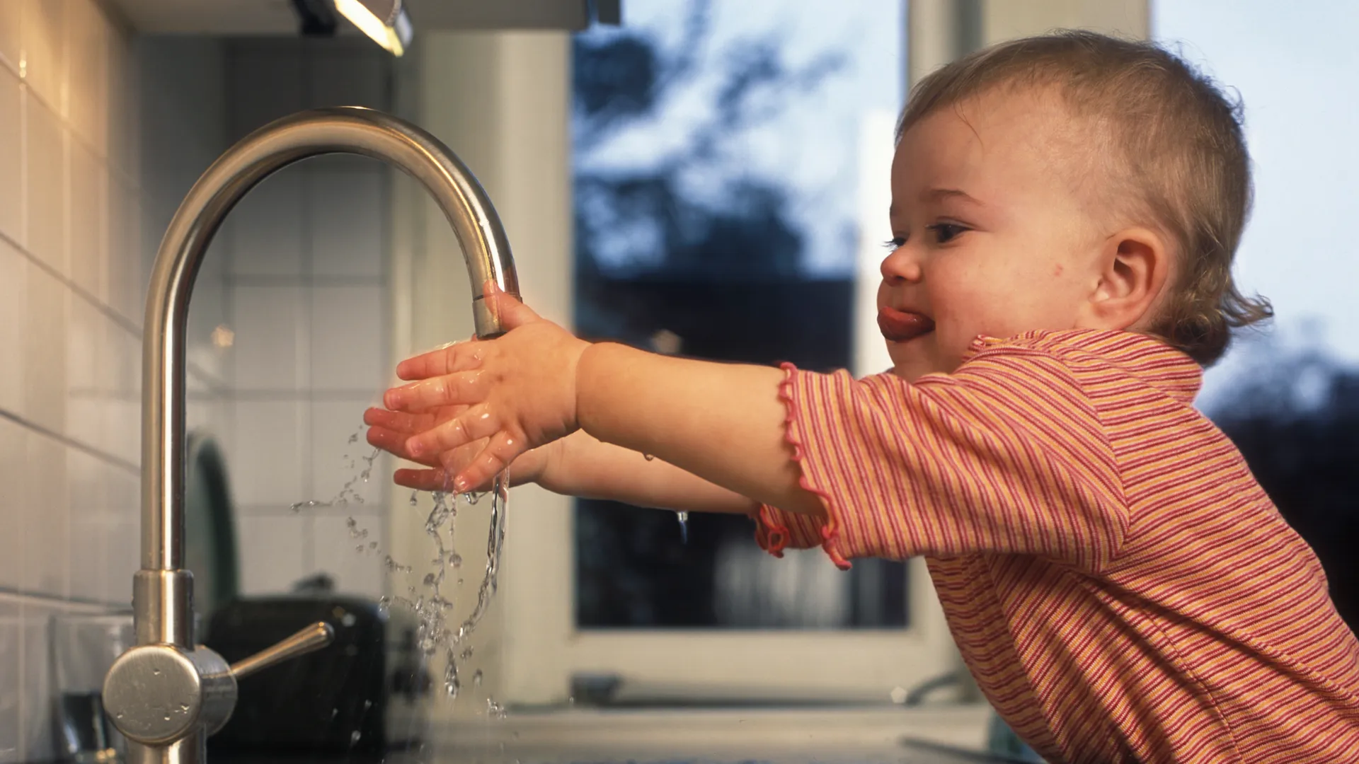 handen wassen prov flevoland