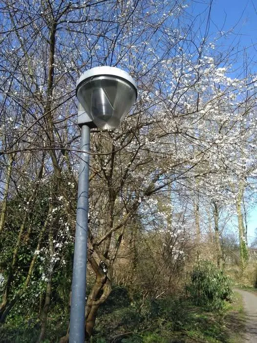 straatverlichting gem lelystad