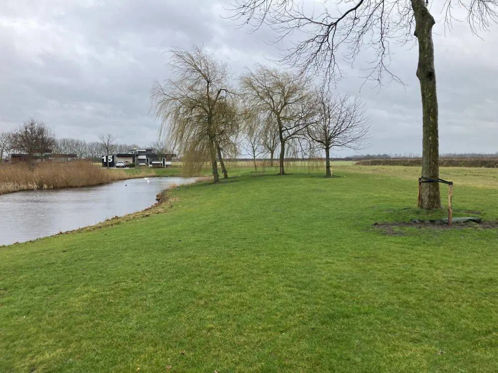 bomen bij elzenpark gem lelystad