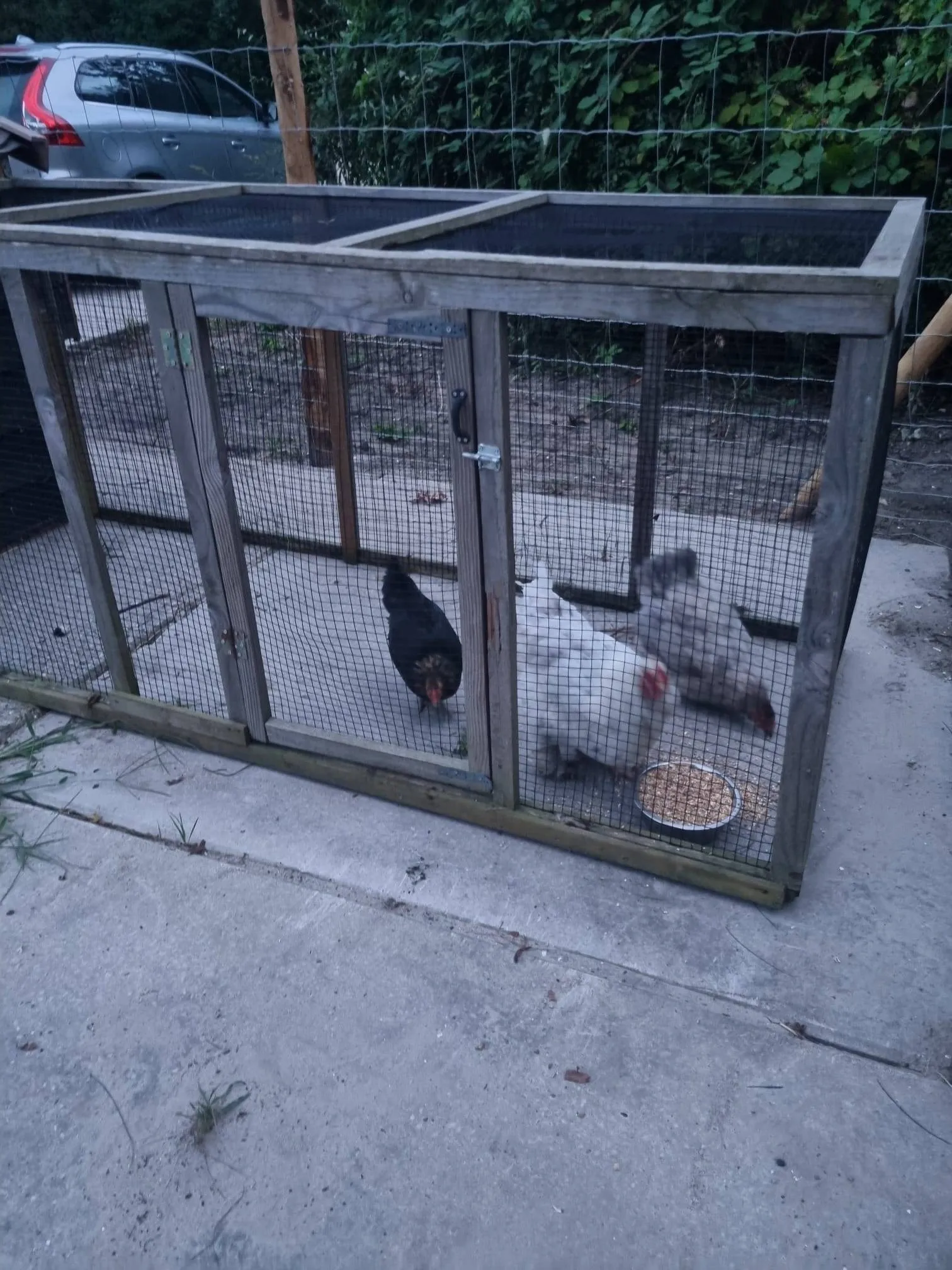 dieren van 4fusion 4fusion fb