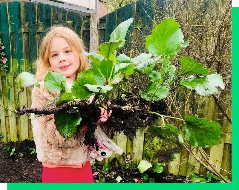 struikroven als voorbeeld stichting struikroven