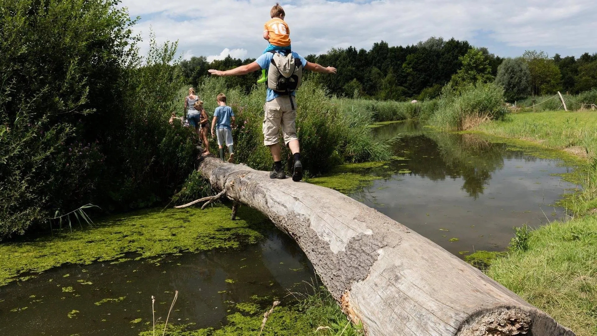 belevenissenbos1 prov flevoland