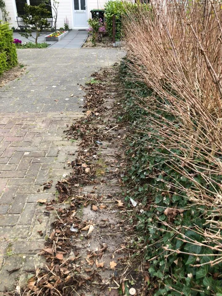 bosjes schoonmaken karveel vrijwilligers mooi karveel
