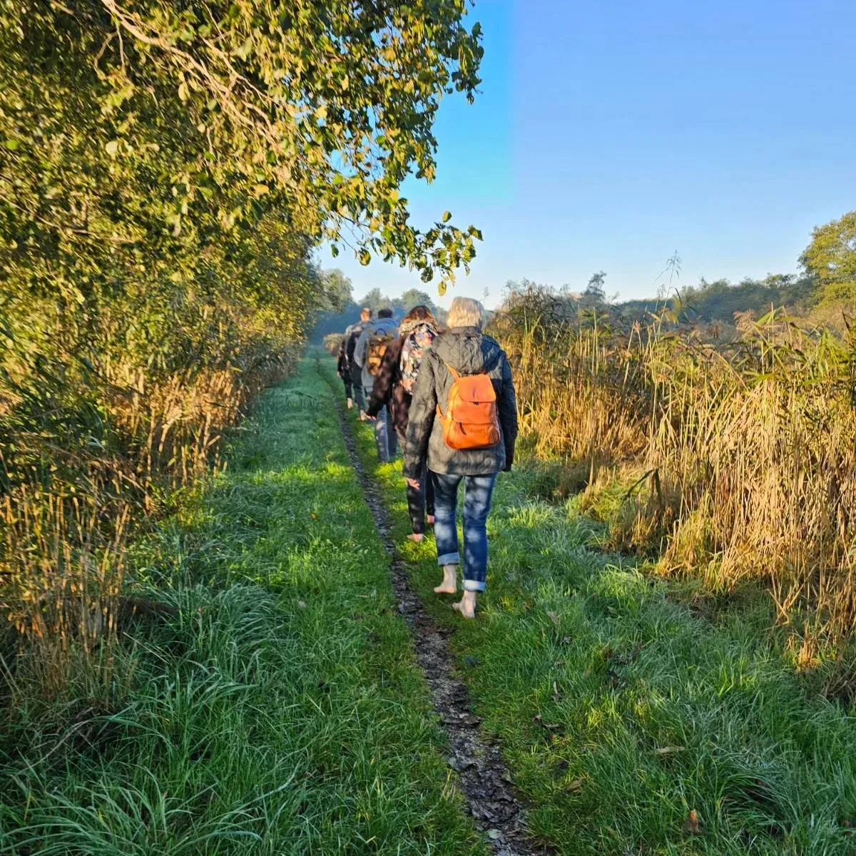 barefootwandelen in de vroegte nationaal park nieuw landjpg