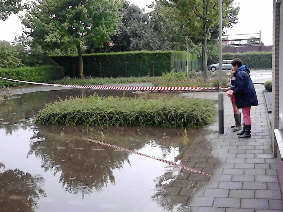 10358145 897701453591544 7522889586744564462 n