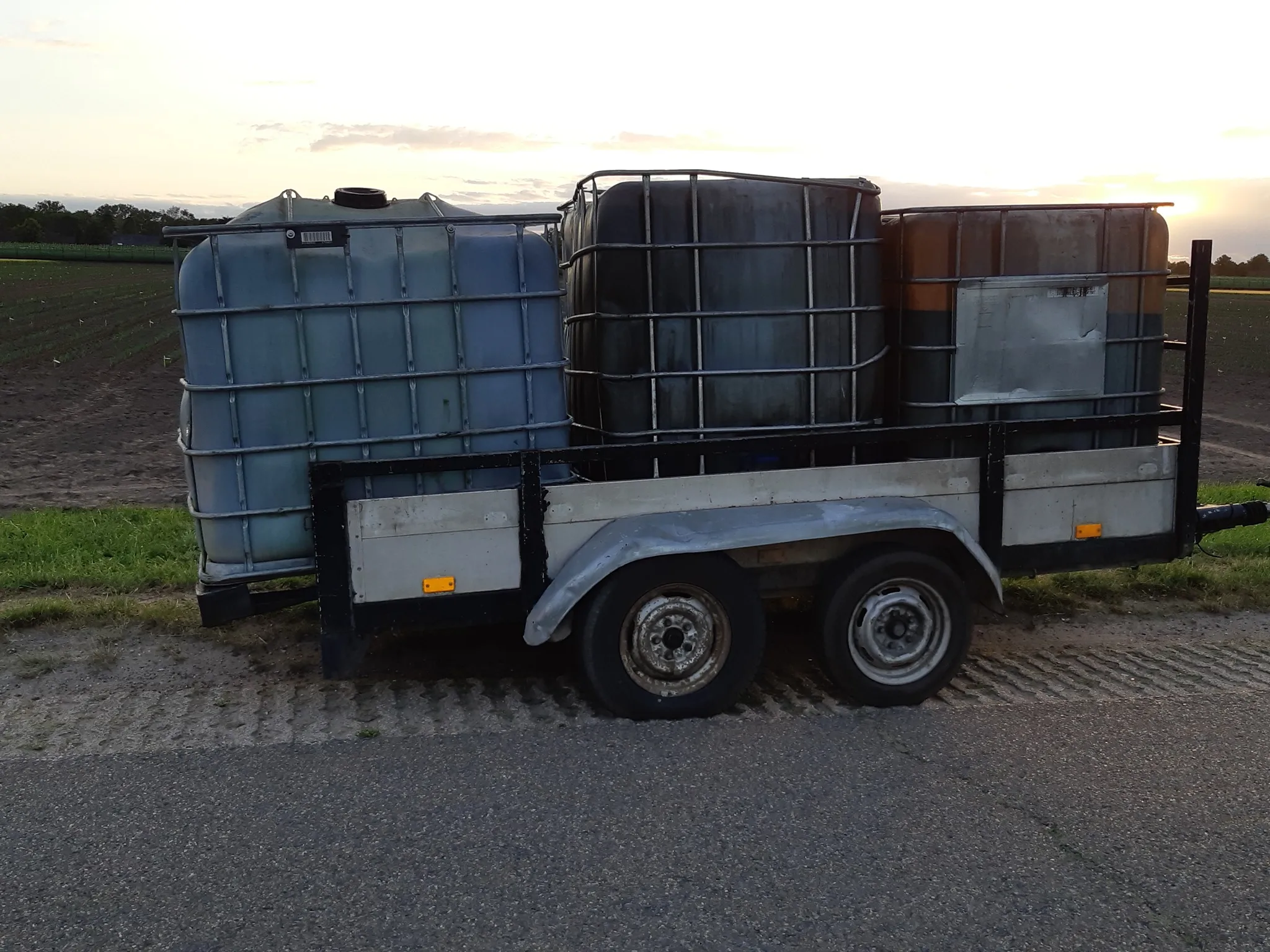 106253090 1428183224055811 3198631864761422926 o