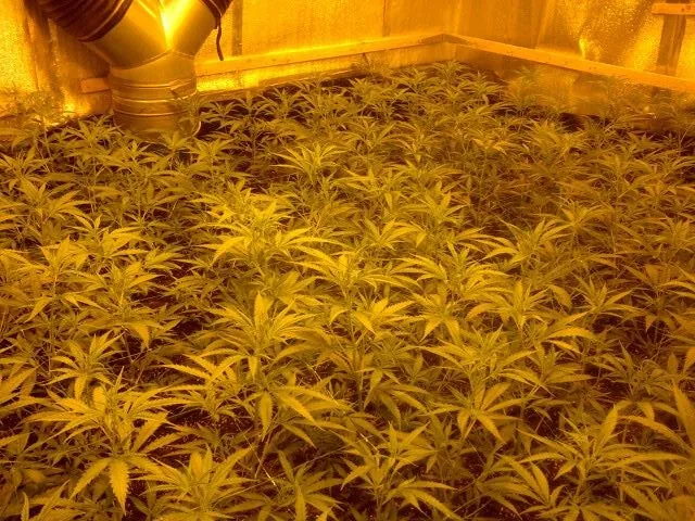 10986699 339745849566226 5445274060355635445 n