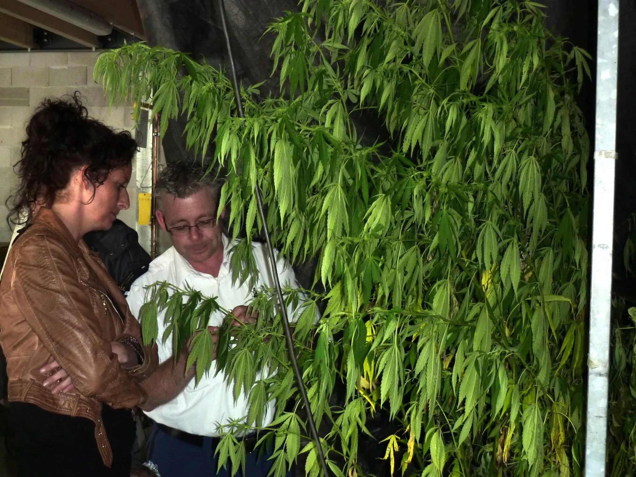 11222332 1485651558419426 1950689608302677575 o