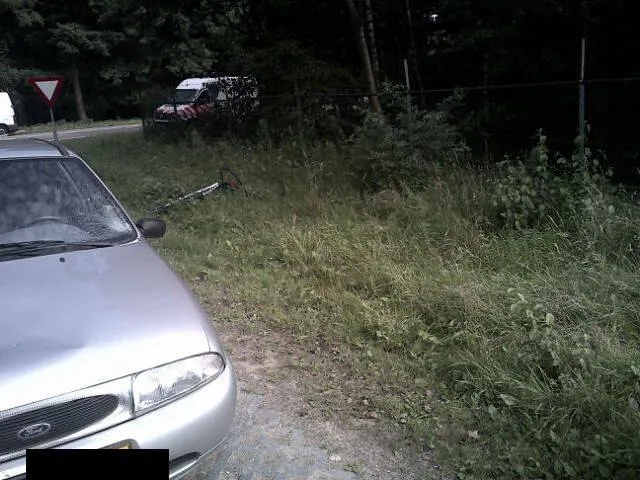 11987032 415157162025094 3682377322786581798 n