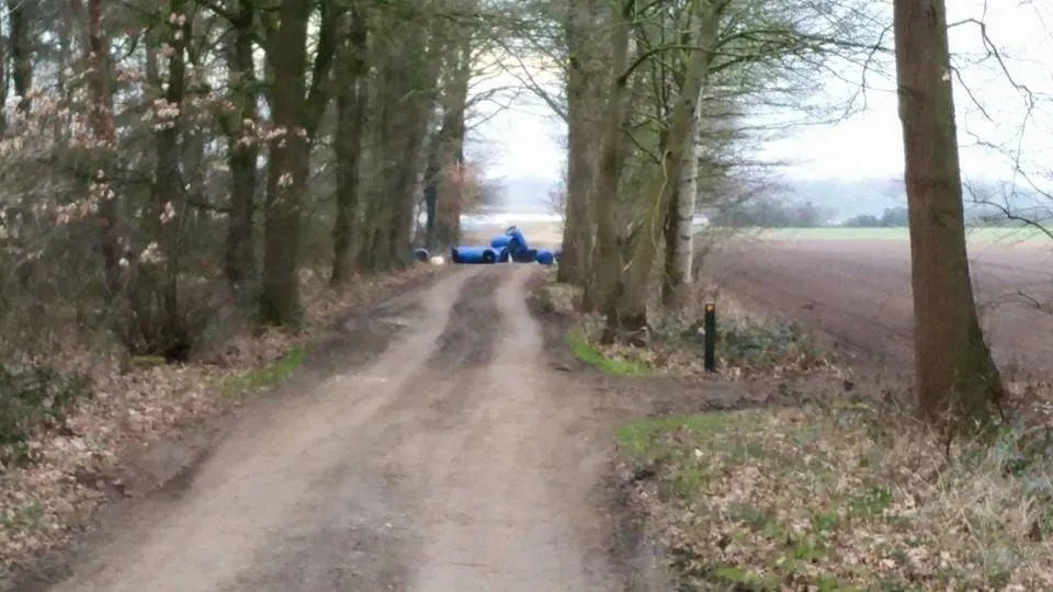 12074729 477902982417178 1661550661016467642 n