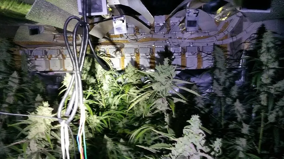 12115703 429364510604359 5861161908035221392 n