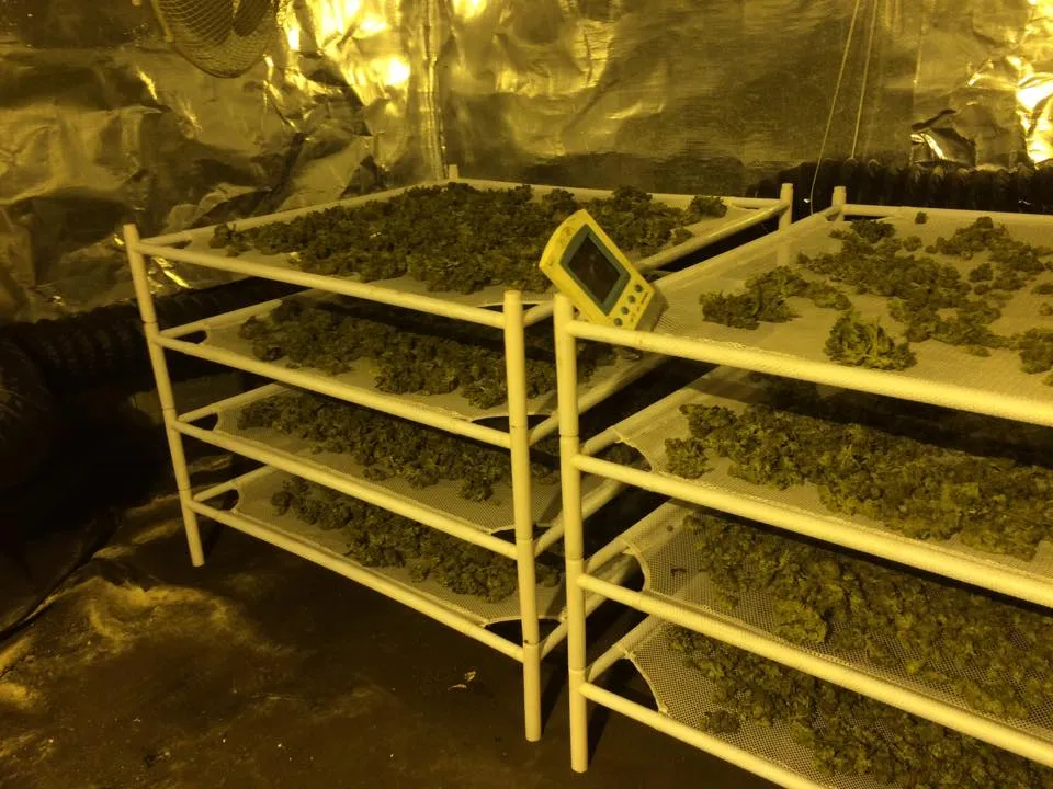 12341276 1649558658616175 8222611626305262 n