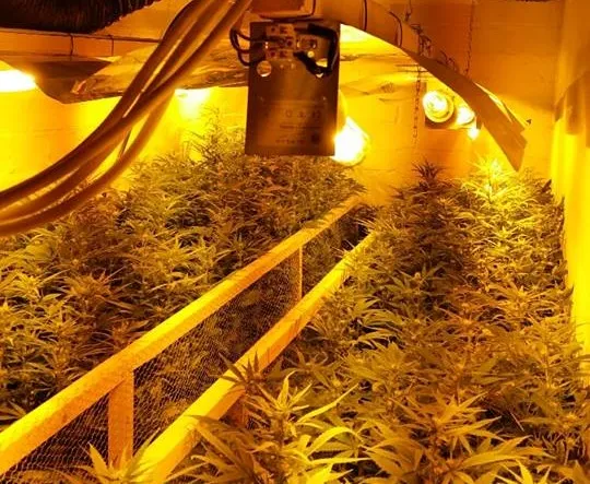 12508923 455999281274215 5739467339798048818 n