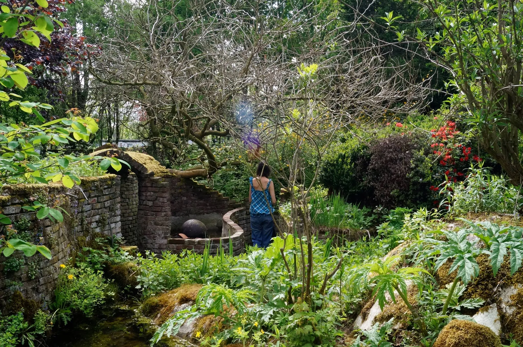 1265938 224925524330033 37070301 o