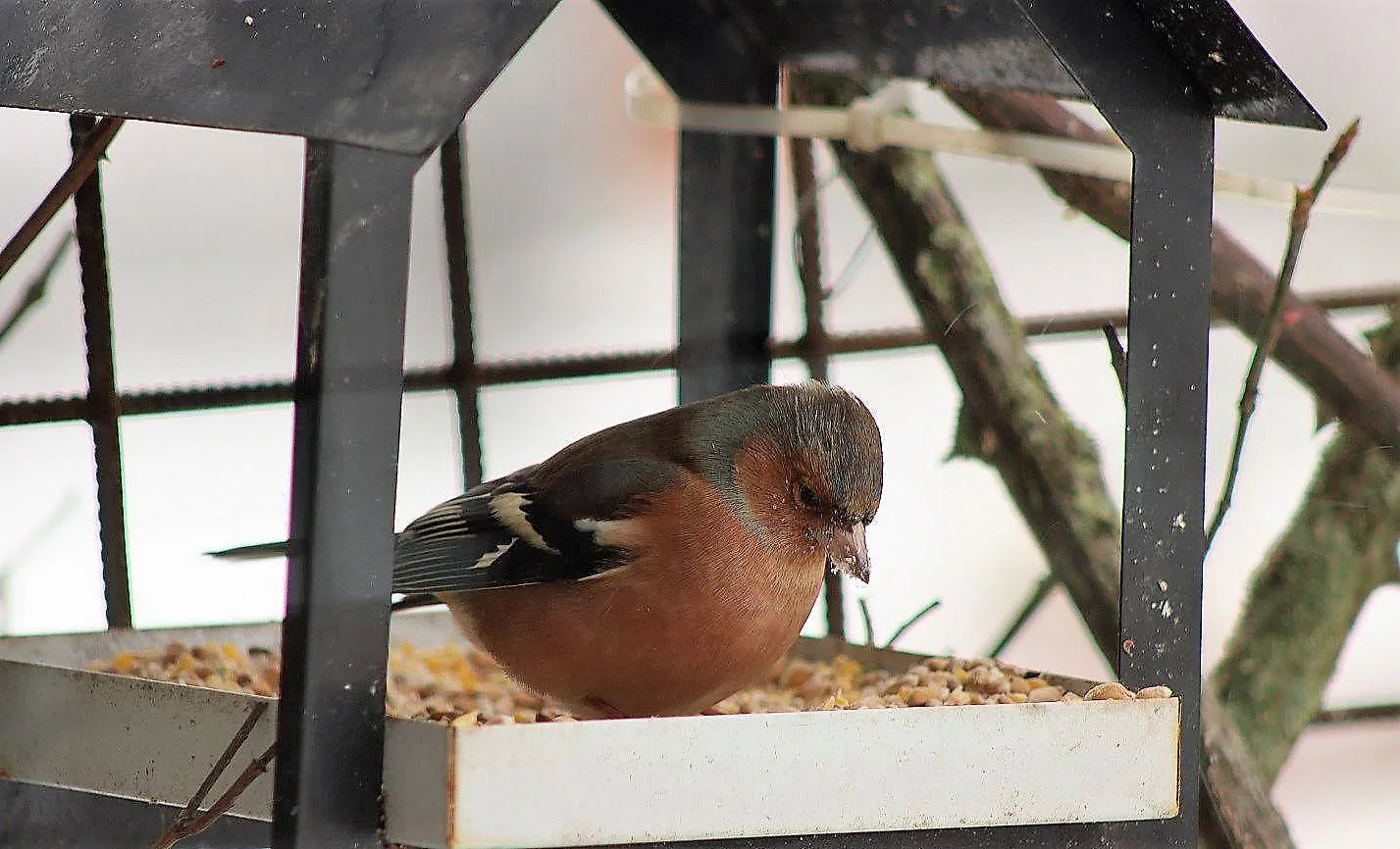 147662633 10218548439568880 7113835543324751976 o