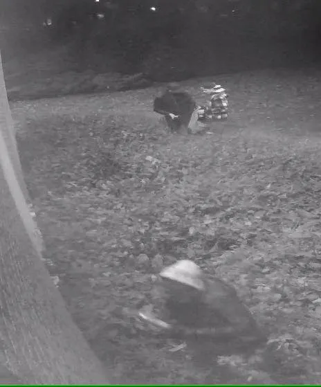 14915650 1151226498278752 5867423465975736434 n