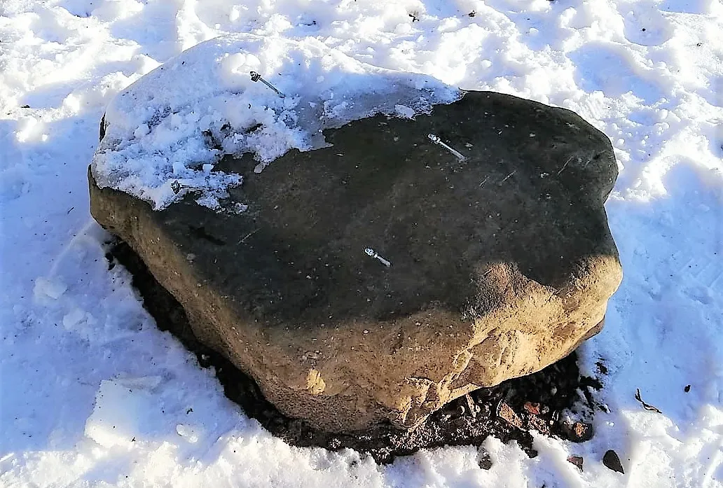 149391158 2703784156618678 5928338423676935744 o