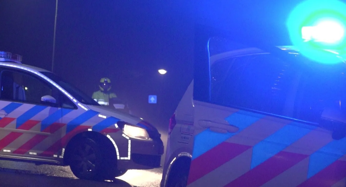 15585414 1793392617566111 1452905755785097014 o