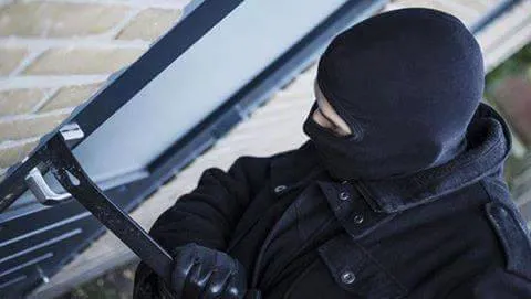 15977906 608426086031533 3436178774722008914 n