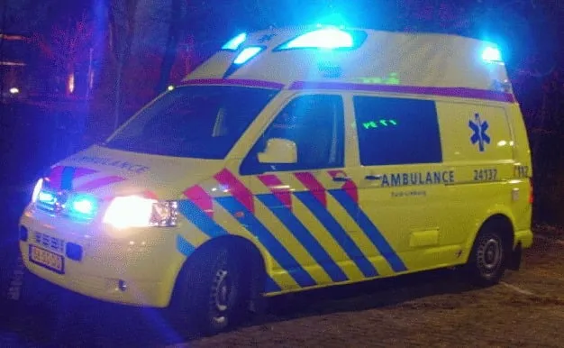 19106 820427481339812 8924889290514442416 n