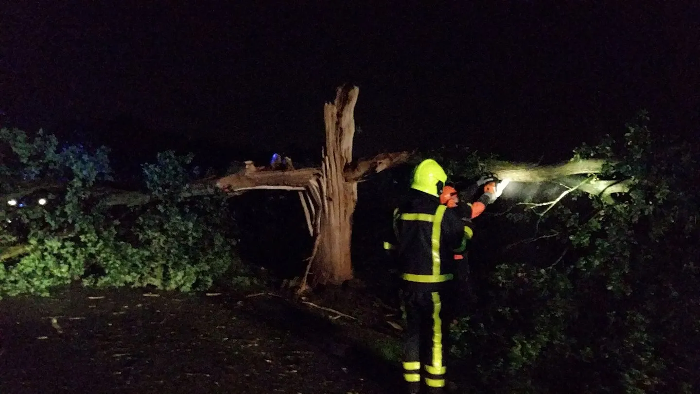 20229730 702285149978959 697190450746588992 o