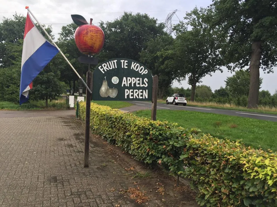 20479996 775070479341288 2150849018222356346 n