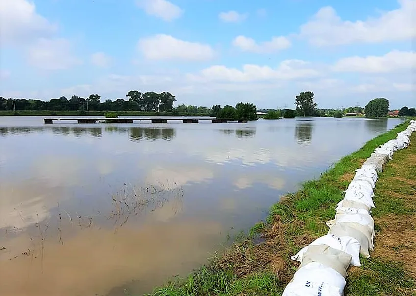 218809603 1802997286538349 8129445082565166208 n 1