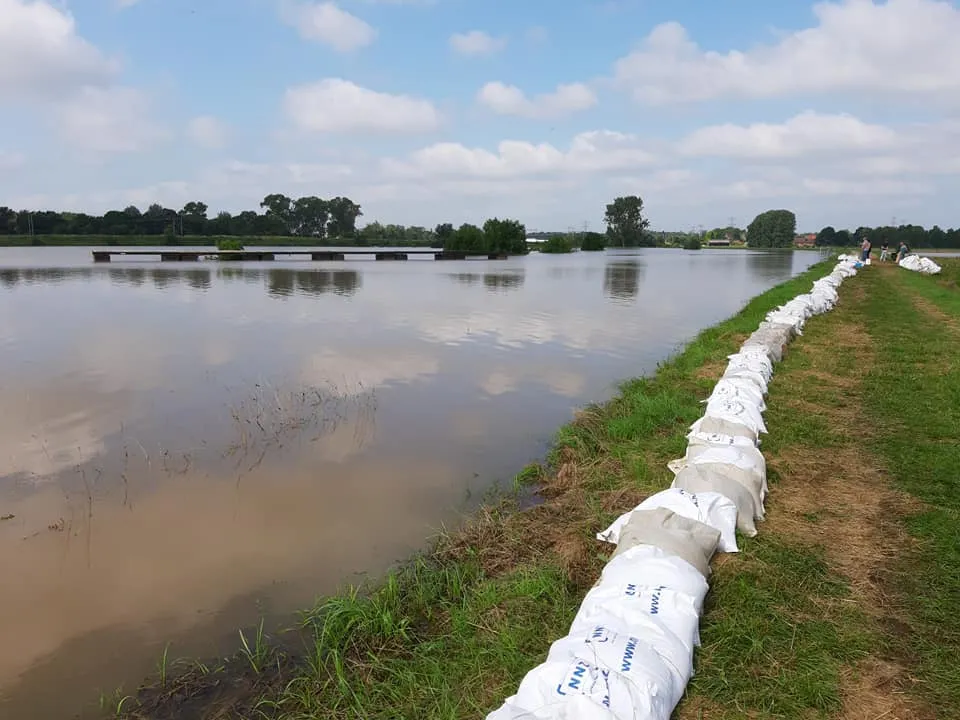 218809603 1802997286538349 8129445082565166208 n